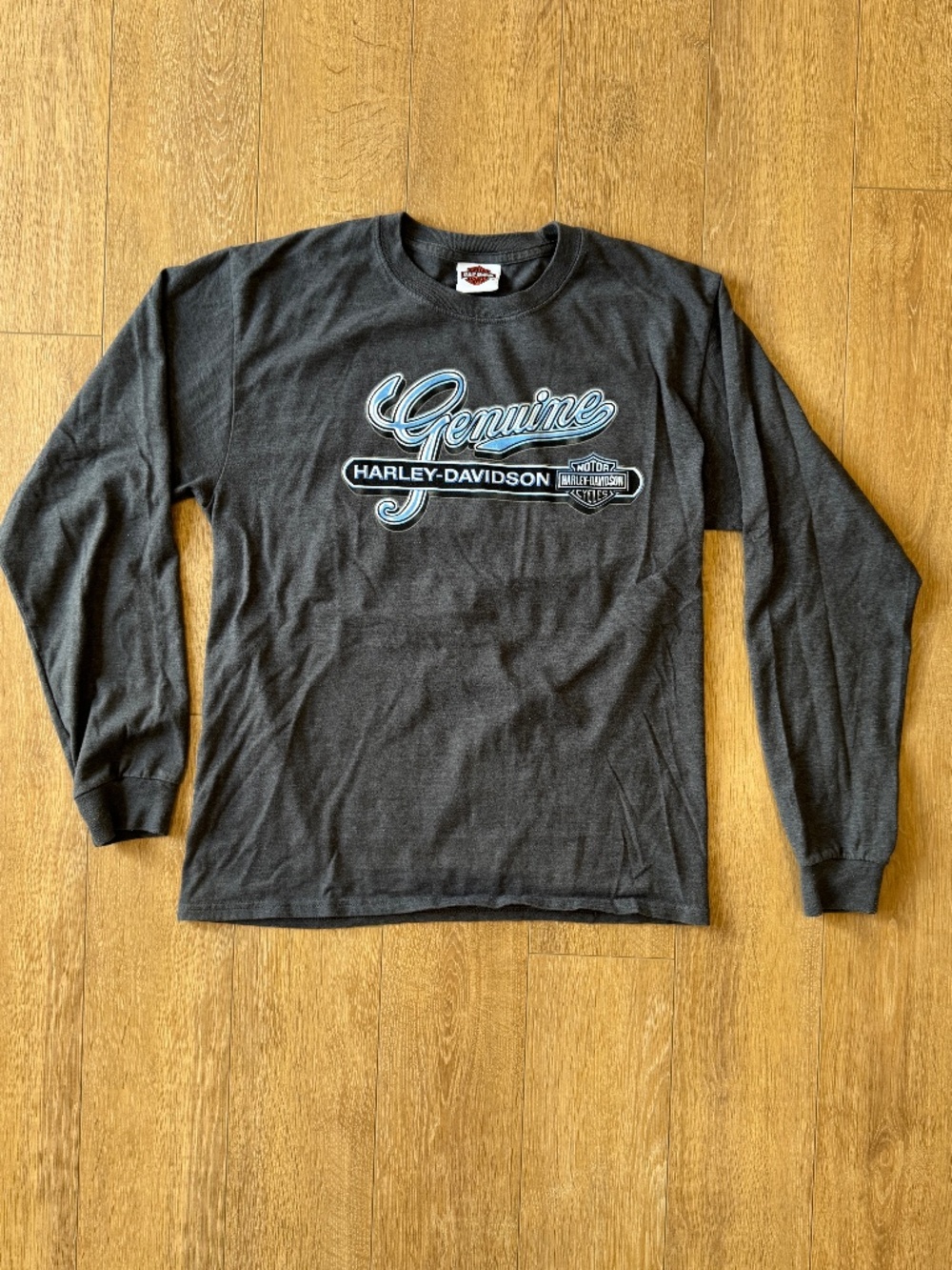 Harley Davidson Genuine Long Sleeve Shirt Medium Grey York PA Graphic